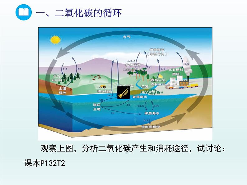 2022九年级化学上册第六单元燃烧与燃料第三节大自然中的二氧化碳课件（鲁教版）05