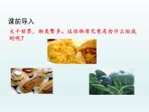 九年级化学上册第三单元物质构成的奥秘课题3元素第1课时元素课件（人教版）