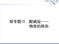 中考化学复习微专题15酸碱盐__物质的除杂精讲课件