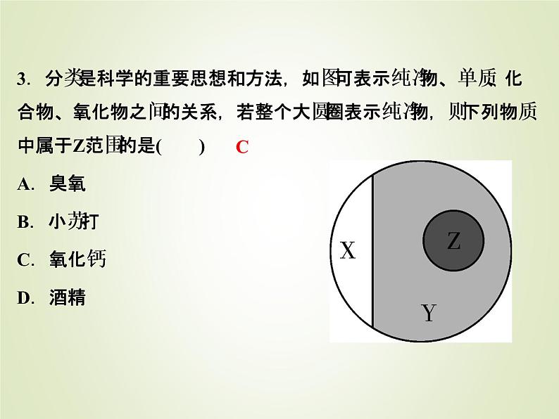 中考化学复习第4讲物质的分类和有机物精练课件第4页