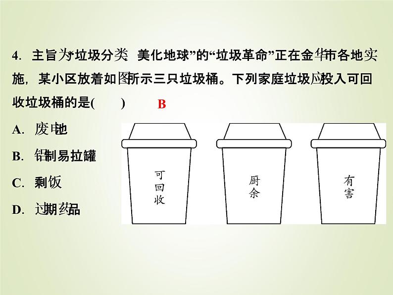 中考化学复习第4讲物质的分类和有机物精练课件第5页