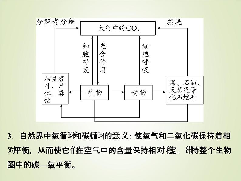 中考化学复习第12讲物质的转化精讲课件04