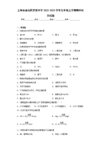 上海市金山区罗星中学2022-2023学年九年级上学期期中化学试题(含答案)