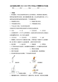 山东省烟台地区2022-2023学年八年级上学期期中化学试题(含答案)