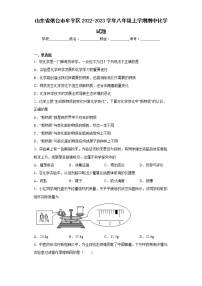 山东省烟台市牟平区2022-2023学年八年级上学期期中化学试题-(含答案)