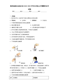 陕西省延安市洛川县2022-2023学年九年级上学期期中化学试题(含答案)