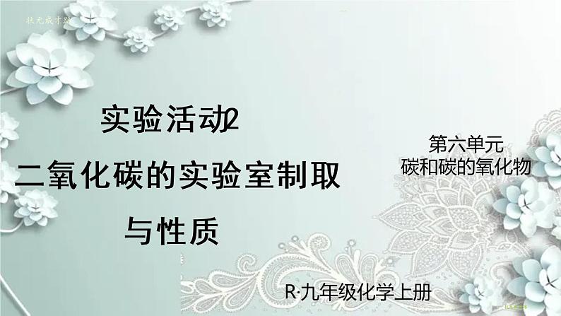 人教版化学九年级上册 实验活动2 二氧化碳的实验室制取与性质 课件第1页