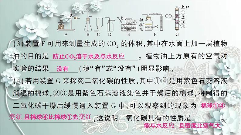 人教版化学九年级上册 实验活动2 二氧化碳的实验室制取与性质 课件03