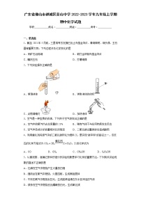 广东省佛山市禅城区荣山中学2022-2023学年九年级上学期期中化学试题(含答案)