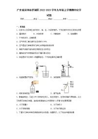 广东省深圳市罗湖区2022-2023学年九年级上学期期中化学试题(含答案)