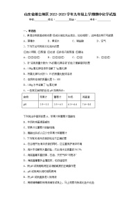 山东省烟台地区2022-2023学年九年级上学期期中化学试题(含答案)