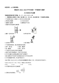 陕西省渭南市韩城市2022-2023学年九年级上学期期中化学试题(含答案)