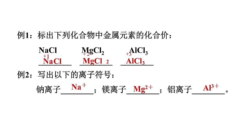 中考化学复习第14课时化学式和化合价课堂教学课件05