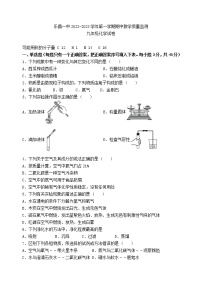 广东省韶关市乐昌市第一中学2022-2023学年九年级上学期期中质量检测化学试卷(含答案)