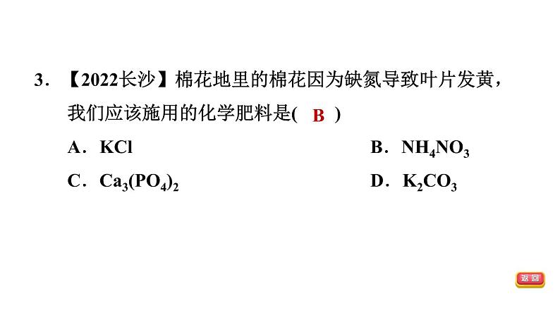 中考化学复习第11课时盐化肥课后练课件05