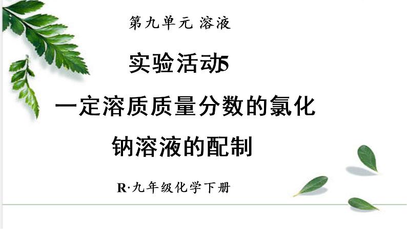 实验活动5 一定溶质质量分数的氯化钠溶液的配制 课件（1份视频）01