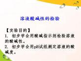 第十单元 酸和碱 实验活动7 溶液酸碱性的检验—人教版九年级化学下册课件