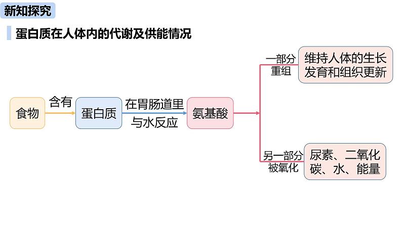 人教版化学九年级下册第12单元 课题1 人类重要的营养物质课件07