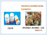 10.1常见的酸和碱（共2课时）课件—九年级化学人教版下册