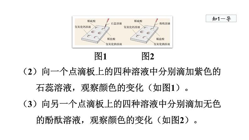 实验活动6 酸、碱的化学性质  课件   人教版九年级下册化学04