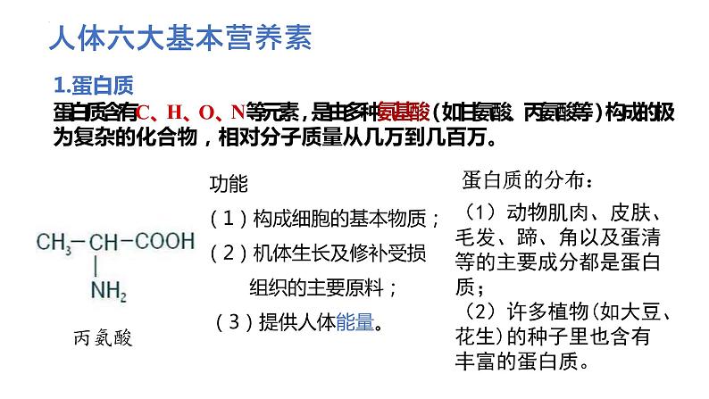 第十二单元课题1人类重要的营养物质-九年级化学人教版下册(内嵌视频)07