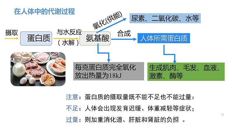 第十二单元课题1人类重要的营养物质-九年级化学人教版下册(内嵌视频)08