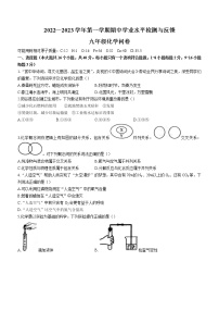 山东省聊城市阳谷县2022-2023学年九年级上学期期中化学试题(含答案)