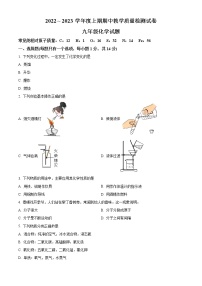 河南省漯河市郾城区2022-2023学年九年级上学期期中化学试题(含答案)