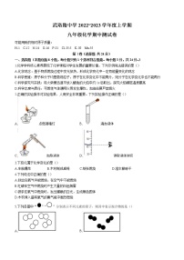 湖北省武汉市武昌区武珞路中学2022-2023学年九年级上学期期中化学试题(含答案)