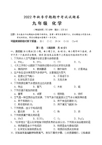 广西河池市宜州区2022-2023学年九年级上学期期中考试化学试题(含答案)