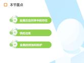 九年级化学人教版下册  8.3金属资源的利用和保护课件