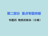 初三九年级化学下册1复习资料二部分重点专题突破4专题四物质的除杂分离