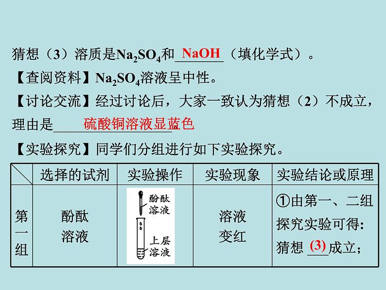 初三九年级化学下册复习资料二部分重点专题突破专题六实验探究题课件第4页