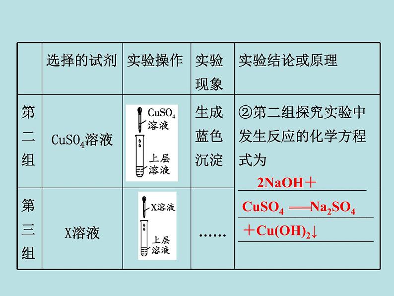 初三九年级化学下册复习资料二部分重点专题突破专题六实验探究题课件第5页