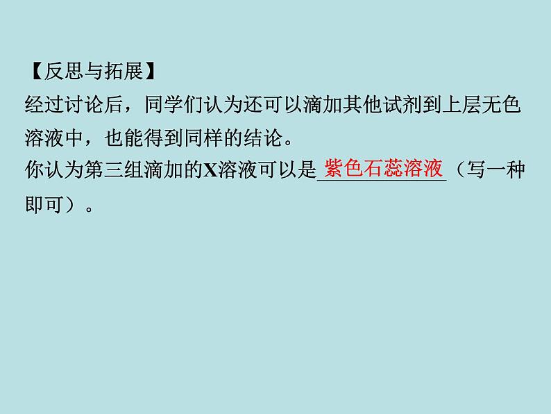 初三九年级化学下册复习资料二部分重点专题突破专题六实验探究题课件第6页