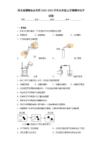 河北省邯郸市永年区2022-2023学年九年级上学期期中化学试题(含答案)