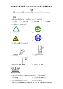 湖北省武汉市汉阳区2022-2023学年九年级上学期期中化学试题(含答案)