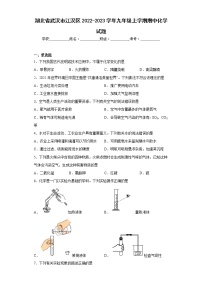 湖北省武汉市江汉区2022-2023学年九年级上学期期中化学试题(含答案)