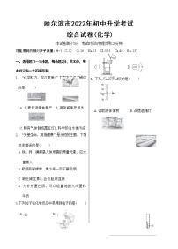 哈尔滨市2022年初中升学考试综合试卷（化学）（含答案解析）