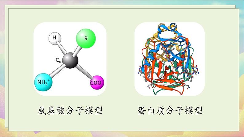 人教化学九（下）第12单元 课题1 人类重要的营养物质 PPT课件07