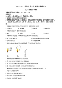 河北省保定市顺平县2022-2023学年九年级上学期期中化学试题(含答案)