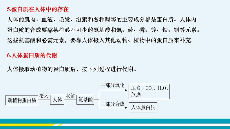 8.3 蛋白质 维生素 课件PPT+教案+练习07