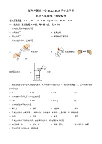 河南省郑州市外国语中学2022-2023学年九年级上学期线上教学反馈化学试题