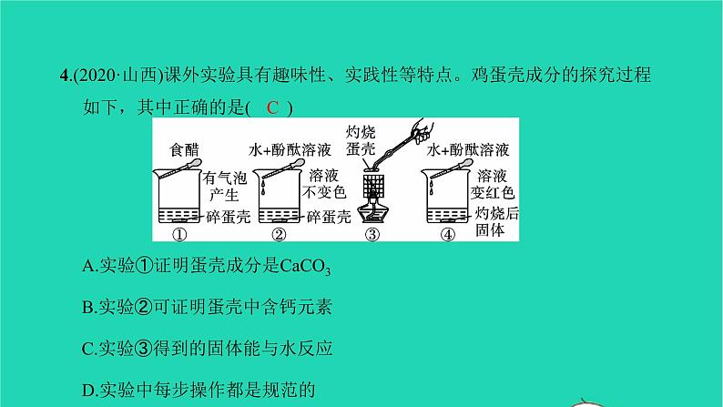 全国版2022中考化学第一篇教材梳理夯实基础第十一单元盐化肥第1课时生活中常见的盐练本课件05