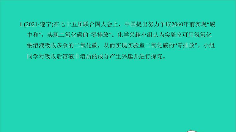 全国版2022中考化学第二篇专题突破能力提升专题八化学实验探究练本课件第2页