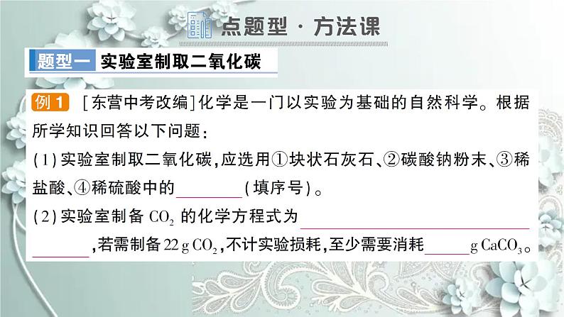 人教版化学九年级上册 课题2 二氧化碳制取的研究 课件第8页