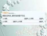 人教版化学九年级上册 课题2 如何正确书写化学方程式 课件