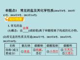 人教版九年级化学下册复习课件11十一单元盐化肥