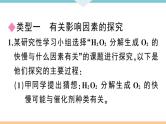 人教版九年级化学下册安徽习题讲评课件核心考点速记5题型五实验探究题