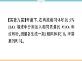 人教版九年级化学下册安徽习题讲评课件核心考点速记5题型五实验探究题